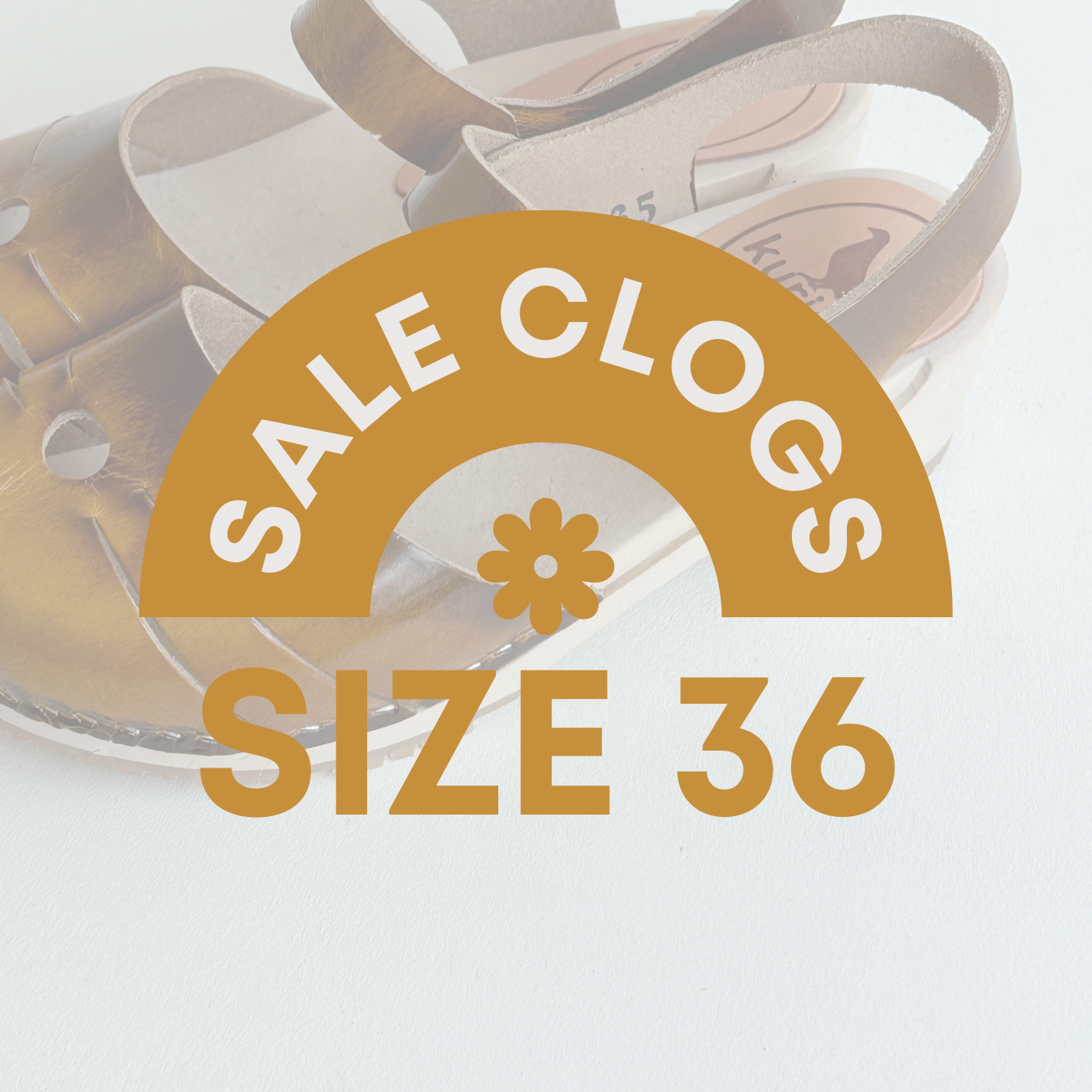 Studio Sale Size 36