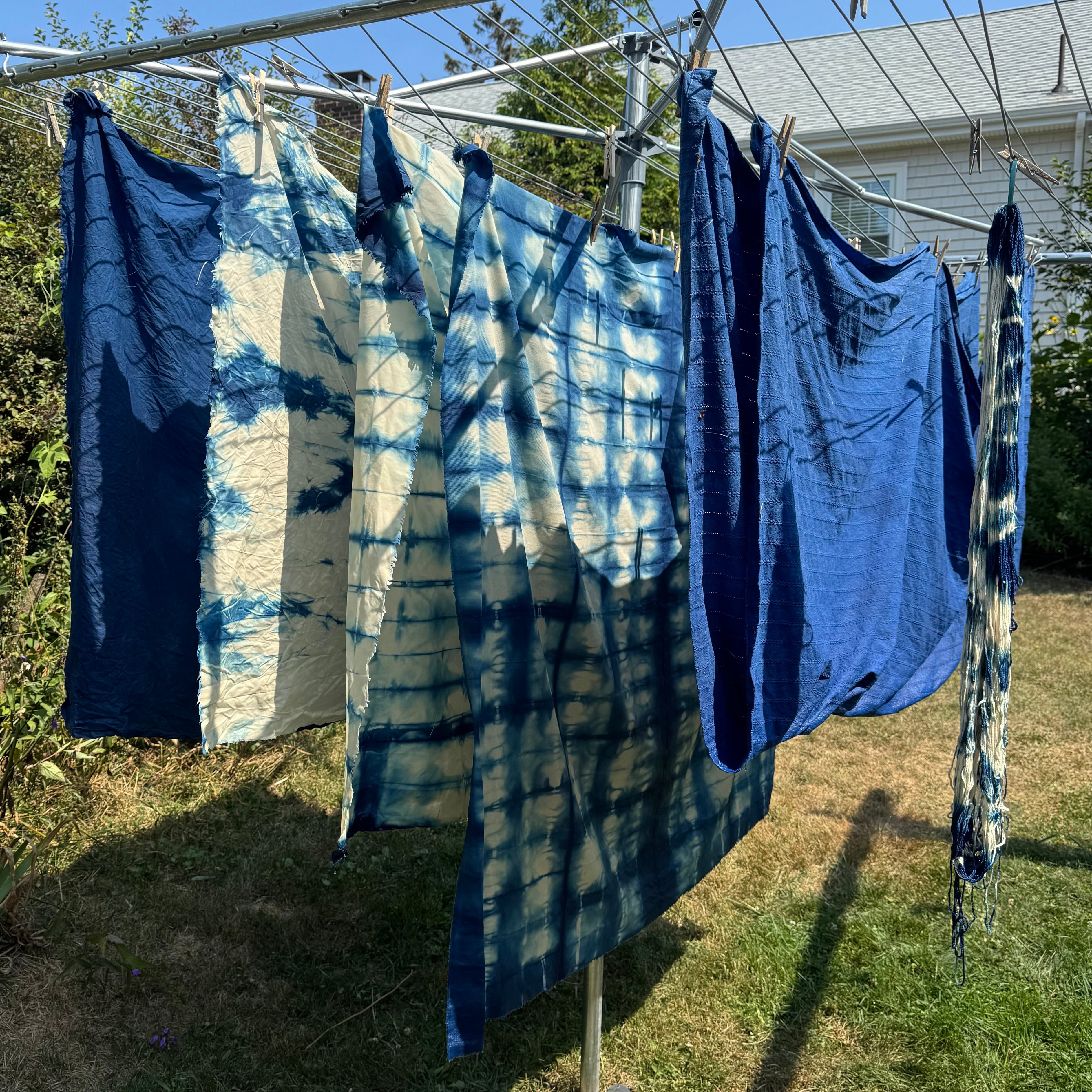Indigo Dip Day Saturday, Aug 30 · 12–2 PM